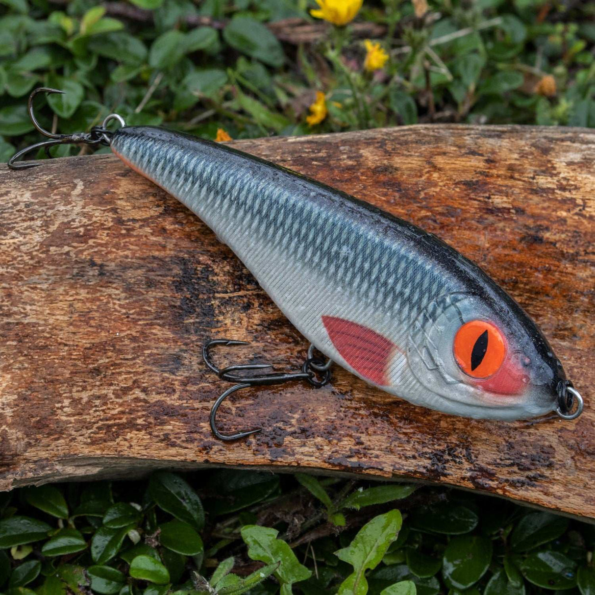 Senshu Butcher Jerk - Jerkbait