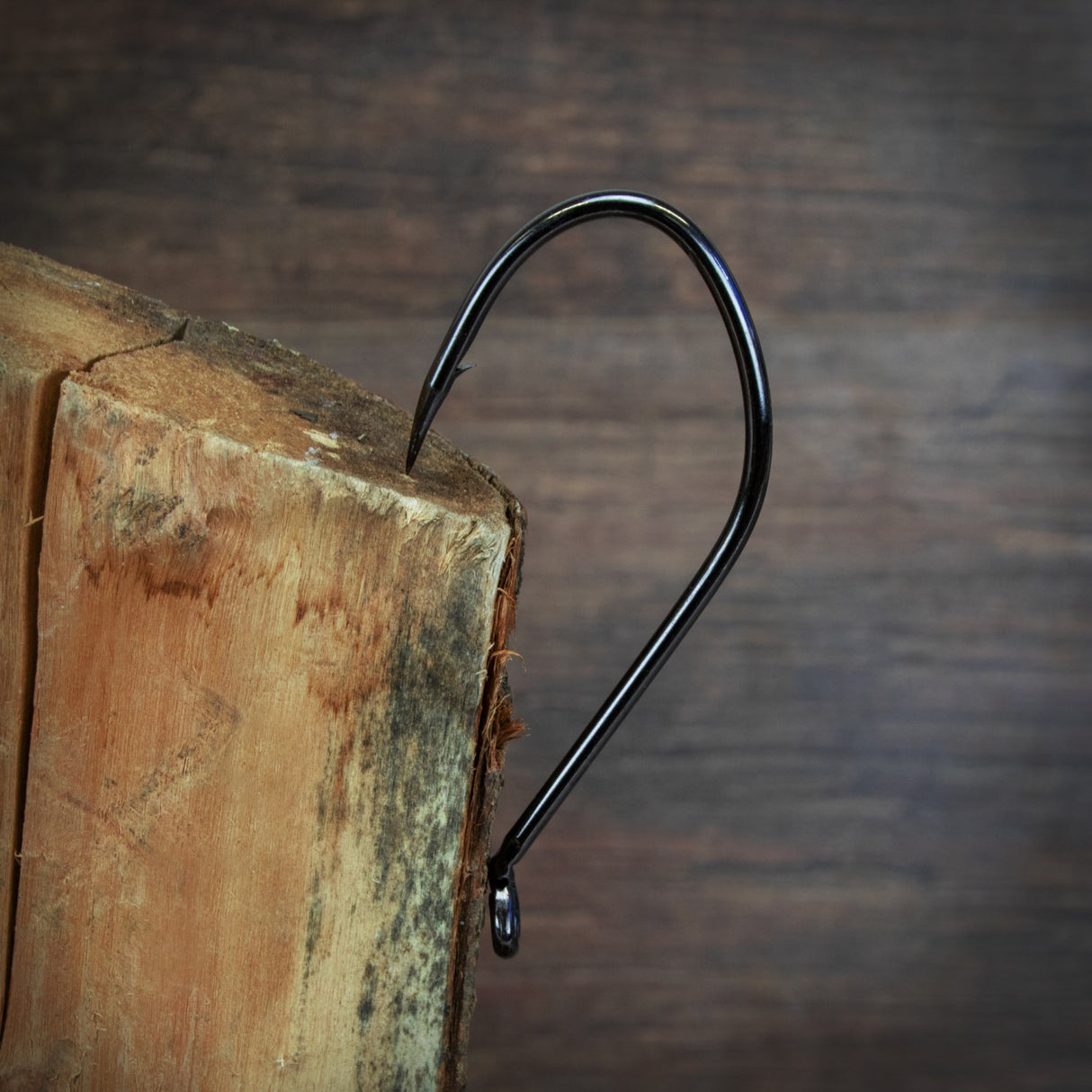 Catix Profi Wallerhaken Größe 10/0, 5 St.