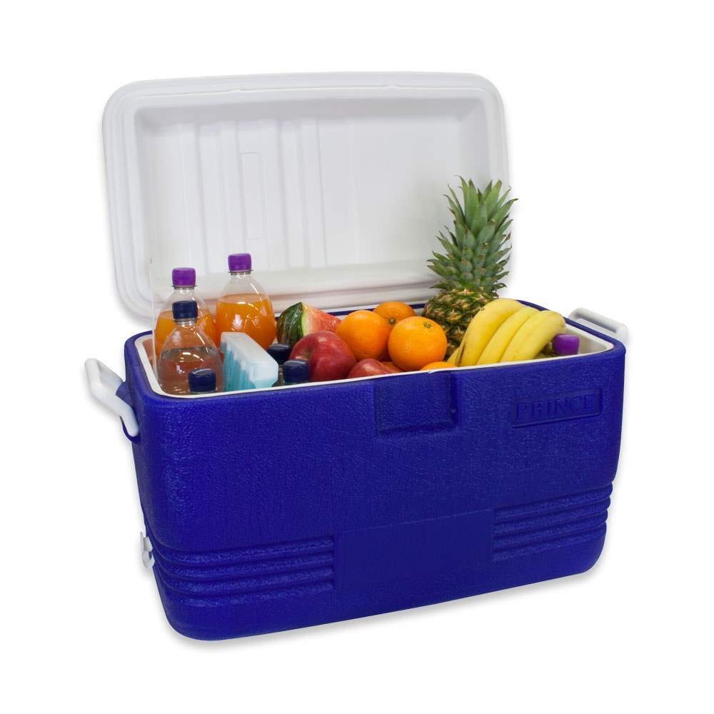 Waterside Polarcooler Kühlbox 40 Liter