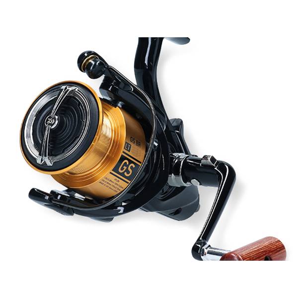 Daiwa 20 GS BR LT 5000-C | Freilaufrolle
