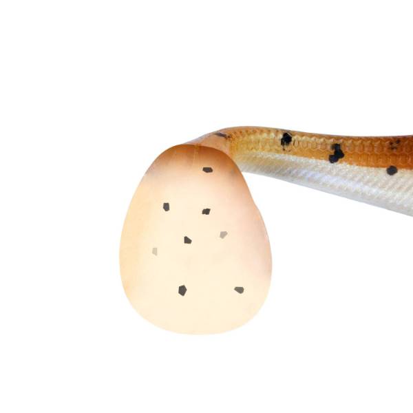 Senshu Real Fin Shad 8cm 4g 4er Set