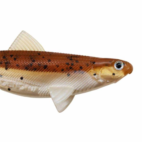 Senshu Real Fin Shad 8 Mixpack 8cm 11g 4 Stück