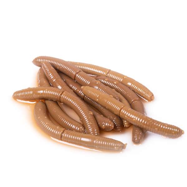 Libra Lures Fatty D'Worm 6,5 cm | 10 Stück Coffee Milk