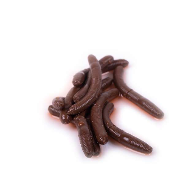 Libra Lures Fatty D'Worm 6,5 cm | 10 Stück Brown