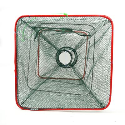 Eurocatch Faltbare Krebsfalle 55x25x25cm – Reuse für Krebse & Köderfische