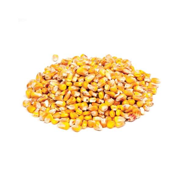 Evezet Ganzer Mais 1kg