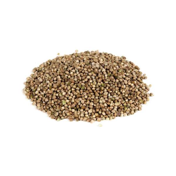 Evezet Hanfsamen für Karpfen 1kg