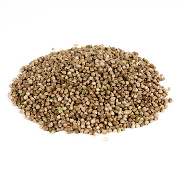 Evezet Hanfsamen für Karpfen