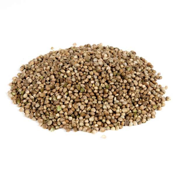 Evezet Hanfsamen für Karpfen