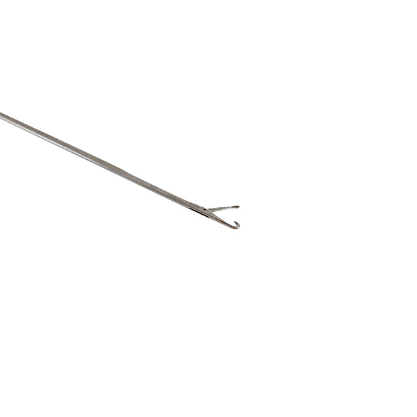 Faith Boilienadel Fein