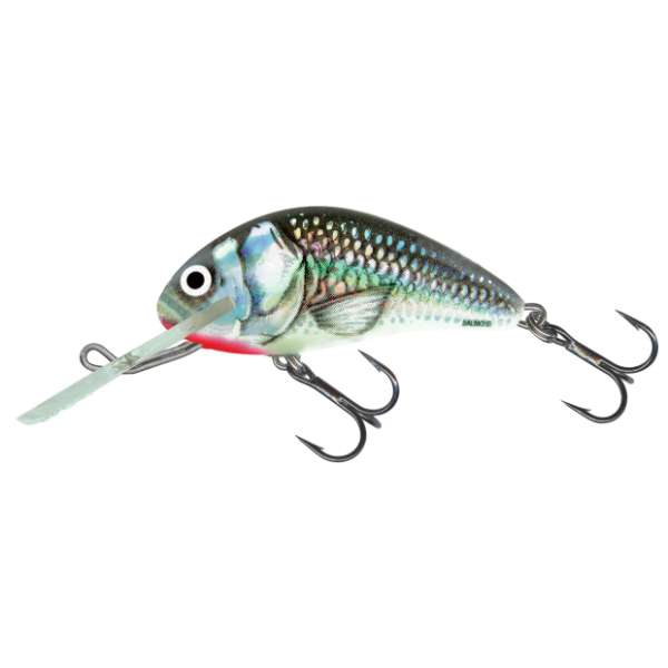 Salmo Hornet Floating | Wobbler Holo Grey Shiner - 5.0cm