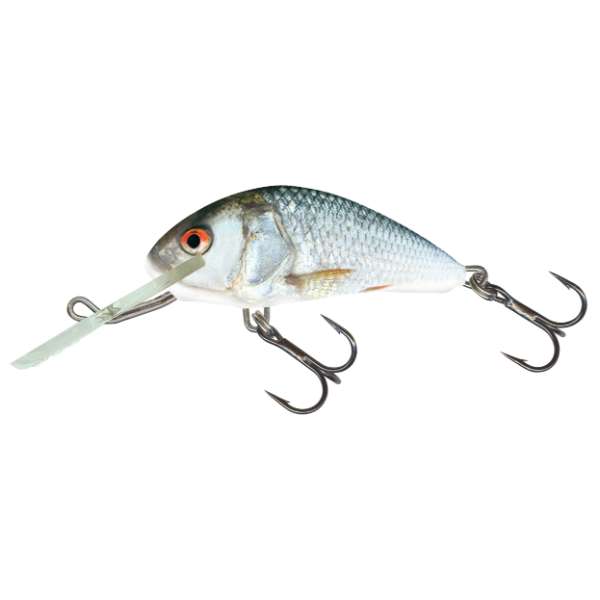 Salmo Hornet Floating | Wobbler Sinking Real Dace - 5.0cm