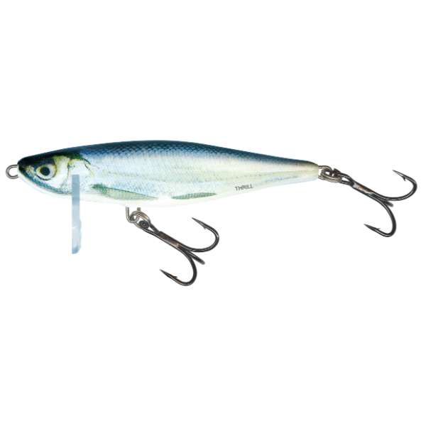Salmo Thrill Sinking Wobbler – Holo Bleak 5cm 2.0 Real Bleak - 7 cm