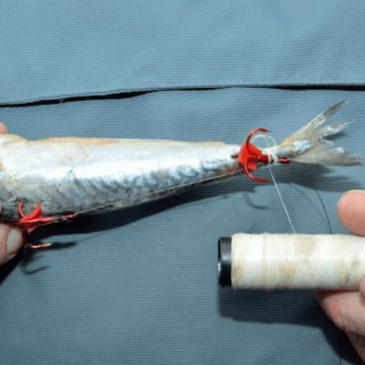 Traxis Köderbinder-Set mit 3 Gummibändern