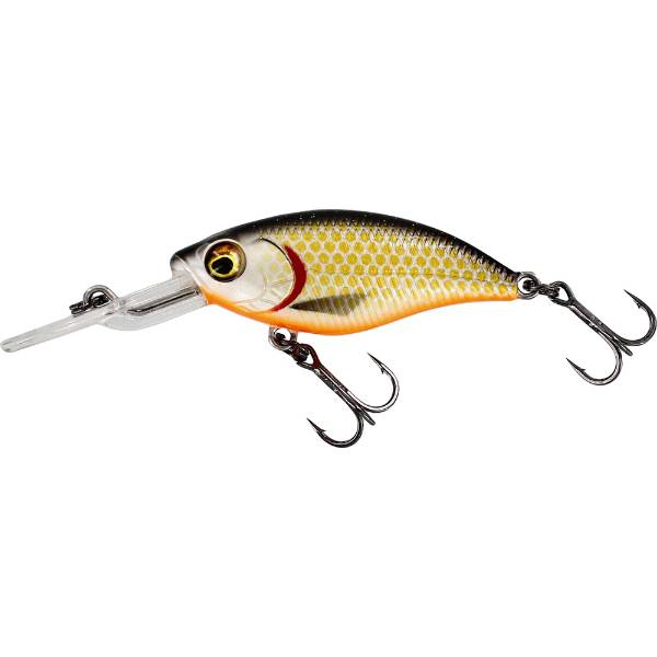 Westin BuzzBite Crankbait Suspending Official Roach 6cm 10g