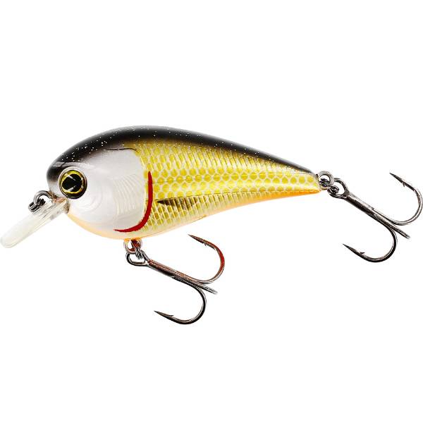 Westin BassBite 1.5 Squarebill Floating 6cm 13g 2.0 Official Roach