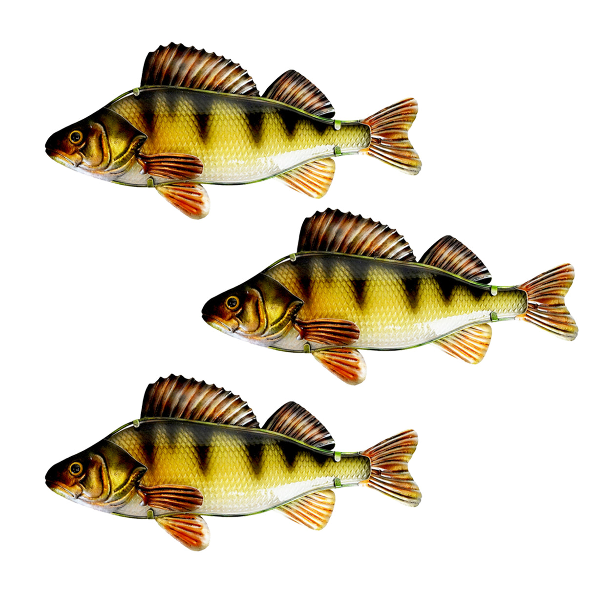 Eurocatch Barsch Wanddekor-Set 3-teilig – 3D Metall & Glas 40 cm