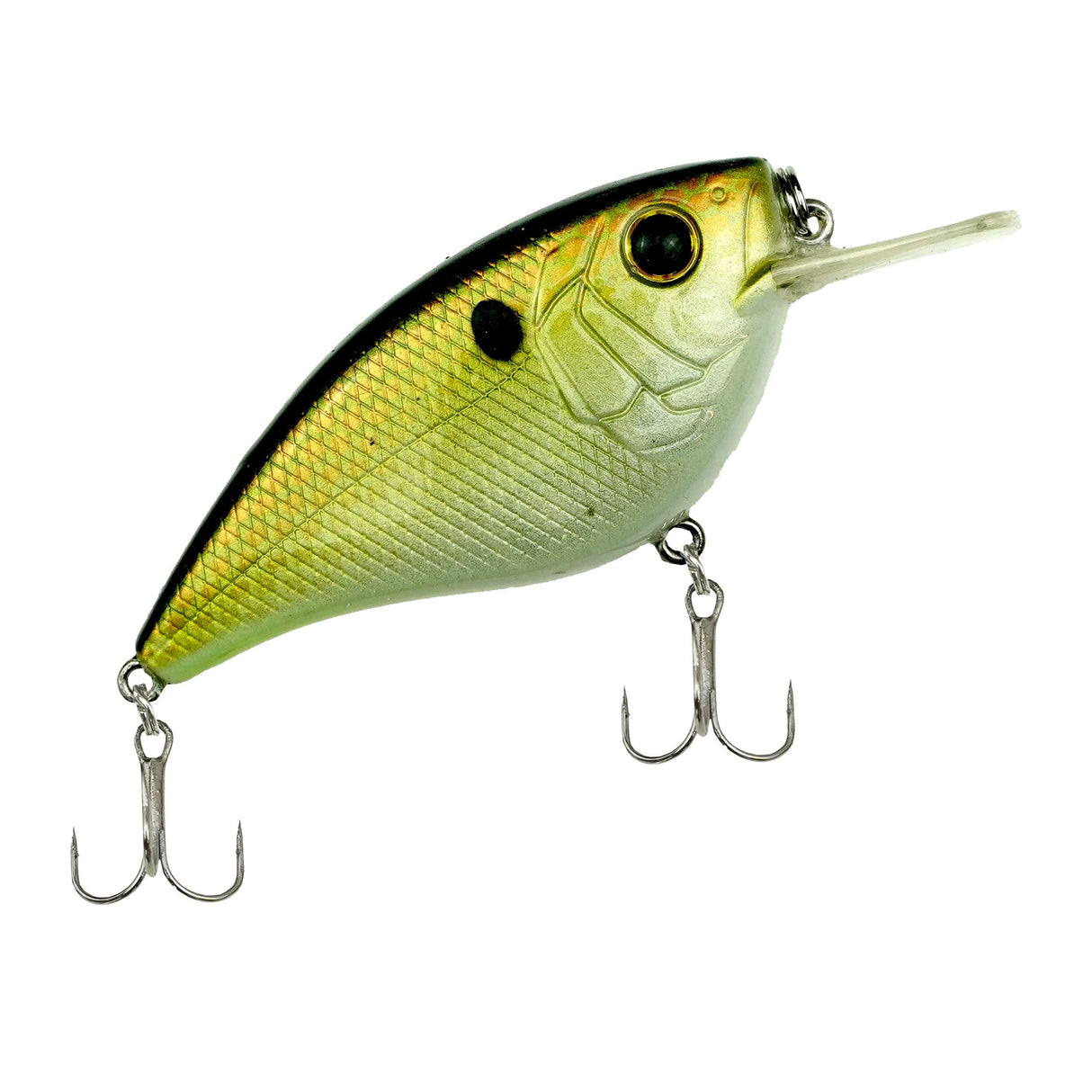 Viper Pro Bass Crank – Crankbait für Barsch, Rapfen & Zander | 1,6 m Lauftiefe