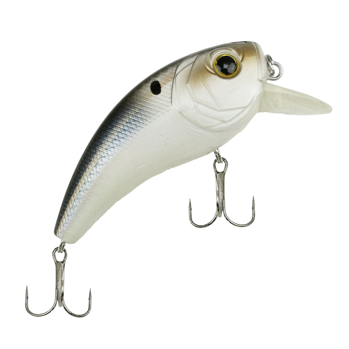 Viper Pro Bad Crankster 8 cm Rattlin – Crankbait für Hecht, Barsch & Rapfen