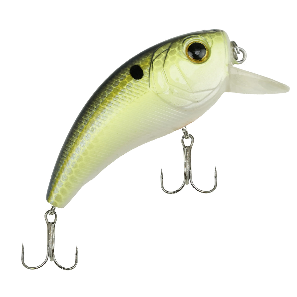 Viper Pro Bad Crankster 8 cm Rattlin – Crankbait für Hecht, Barsch & Rapfen