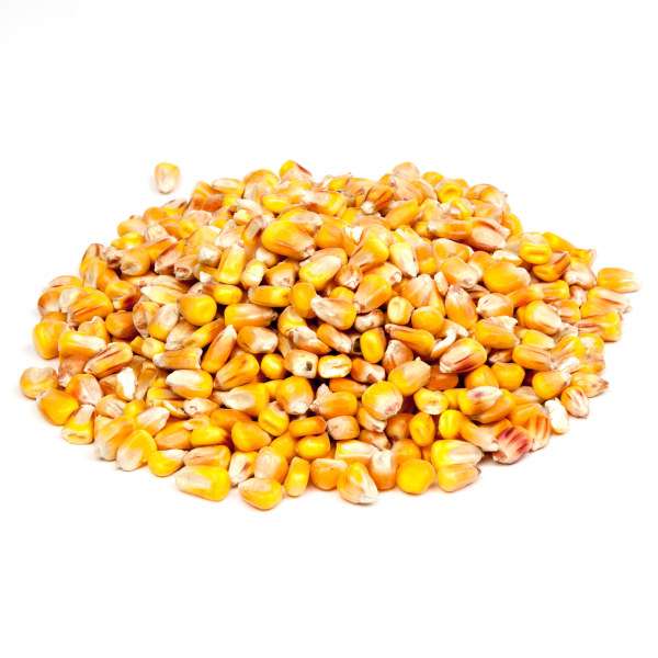 Evezet Mais USA 5 kg