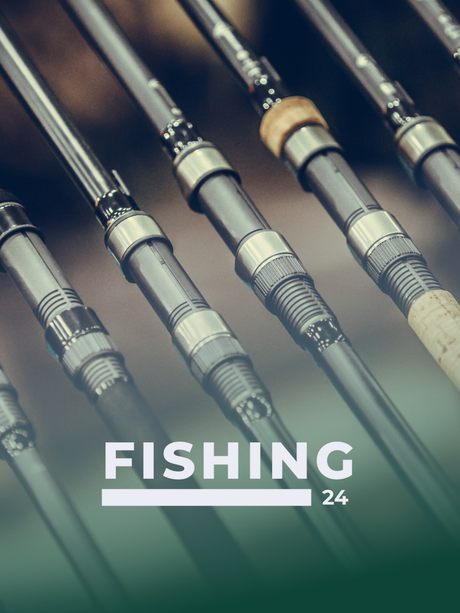Welche Angelrute passt zu mir? – Der große Ratgeber von Fishing24