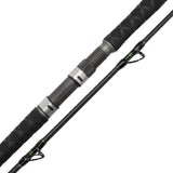 Catix Short Range Welsrute 2,70m | 150-450g