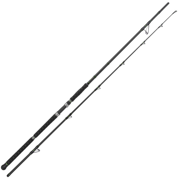 Catix Long Range Welsrute 3,10m | 300-600g