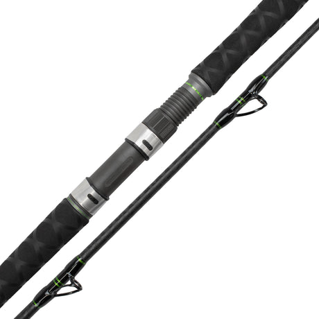Catix Long Range Welsrute 3,10m | 300-600g