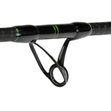 Catix Long Range Welsrute 3,10m | 300-600g