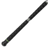 Catix Long Range Welsrute 3,10m | 300-600g