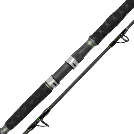 Catix Spin Welsrute 2,40m | 50-180g Wurfgewicht