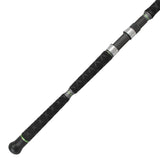 Catix Spin Welsrute 2,70m | 50-180g Wurfgewicht