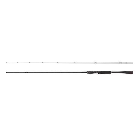 Shimano Zodias Casting Fast 2,18m 12-42gr