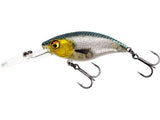 Westin Buzzbite Dr Crankbait 6,5 cm 14 g Floating 2.0 – Raubfischköder