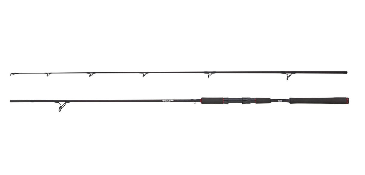 ABU Beast Pike Deadbait Rute 3.04m 150g