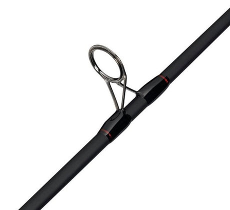 ABU Fast Attack Barsch-Combo 2.10m 5-20g