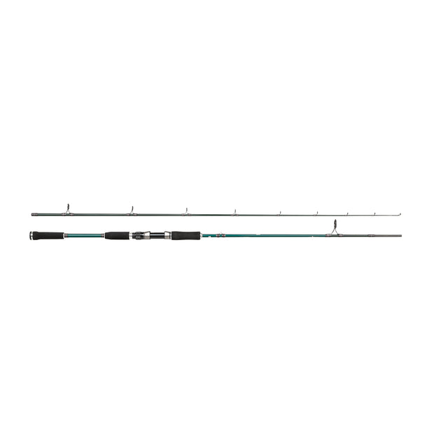 ABU Beast X Pike Spinnrute 2.54m 30-110g