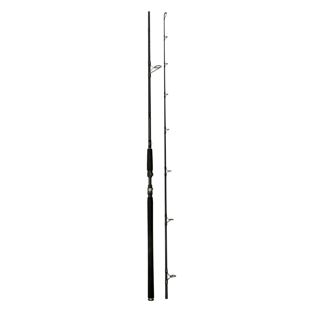 Westin W3 Powercast Rute 2. Gen. 2,48m XH 20-80g