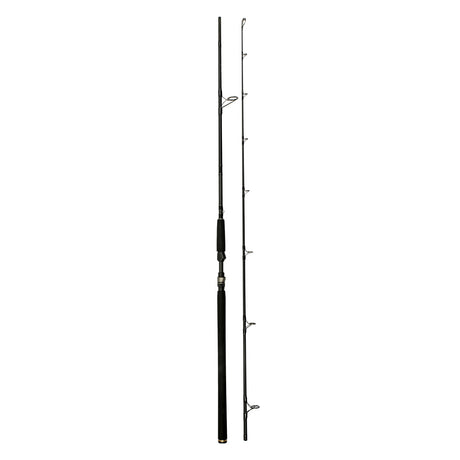 Westin W3 Powercast Rute 2. Gen. 2,48m XH 20-80g