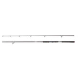 ABU Beast Pike Deadbait Rute 902XH