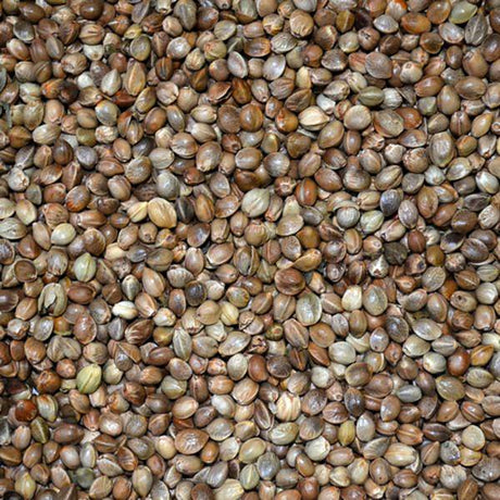 All-In-Partikel Hanf 2kg