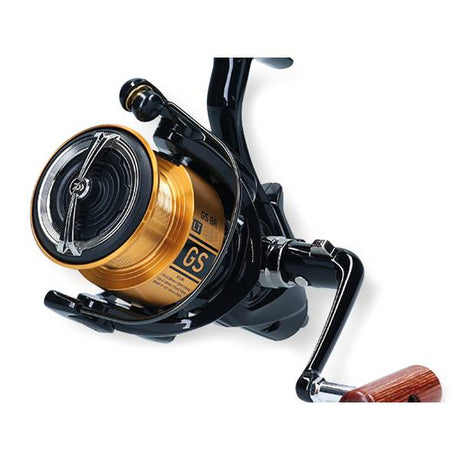 Daiwa 20 GS BR LT 5000-C | Freilaufrolle