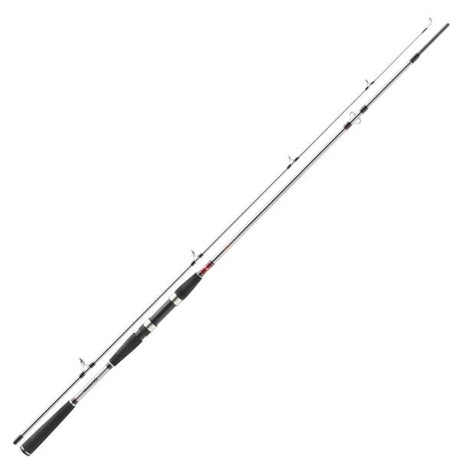 Daiwa Seahunter X Pilk Wolfsbarschrute 40-120g 2,70m