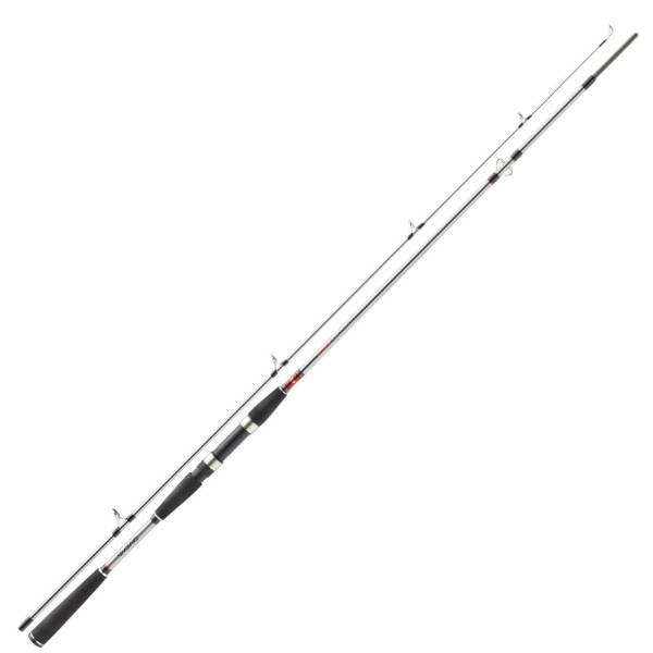 Daiwa Seahunter X Pilk Wolfsbarschrute 40-120g 2,70m