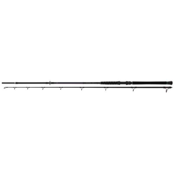 Daiwa Powermesh Wels Rute 300/325 cm 150-500 g