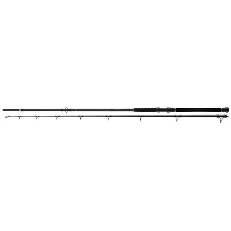 Daiwa Powermesh Wels Rute 300/325 cm 150-500 g