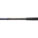 Daiwa Powermesh Wels Rute 300/325 cm 150-500 g