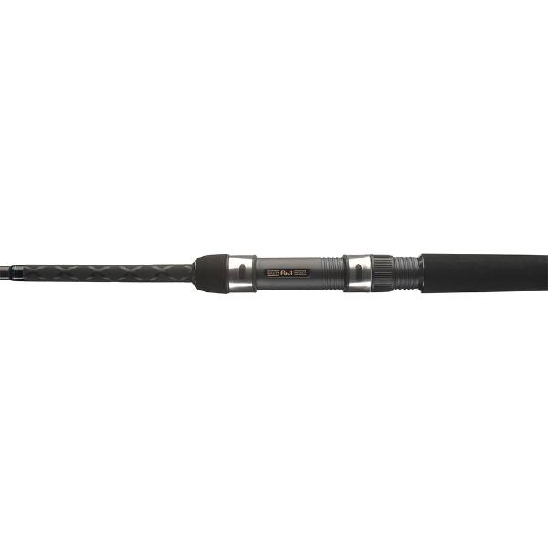 Daiwa Powermesh Wels Rute 300/325 cm 150-500 g