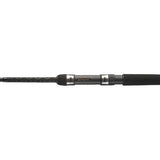 Daiwa Powermesh Wels Rute 300/325 cm 150-500 g